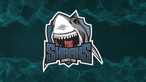 BLAST купила Sharks билеты не на тот самолёт — из-за этого команда пропустит турнир