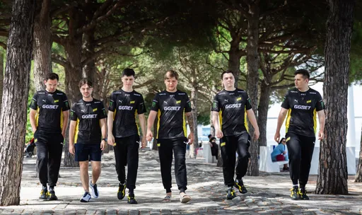 Natus Vincere — Vitality: гранд финал, кто же получит квоту на мейн ивент?