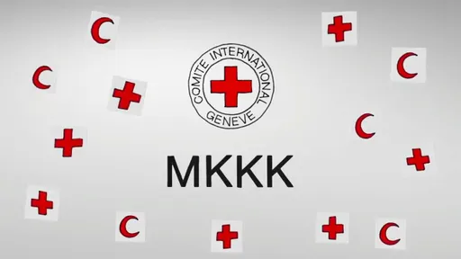 «Красный крест» обратился к геймерам с просьбой не совершать военные преступления в играх