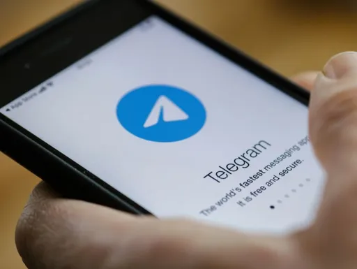 За подарок на первом аукционе в Telegram готовы отдать 8 млн рублей
