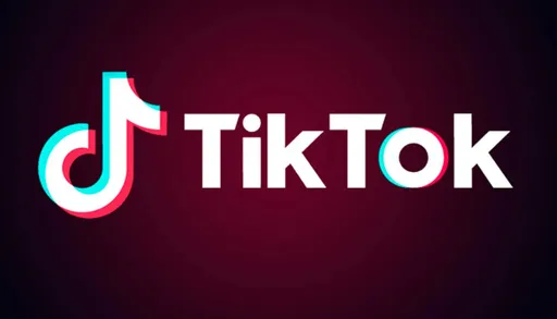 Глава Минцифры: возобновление работы TikTok* в России не обсуждается