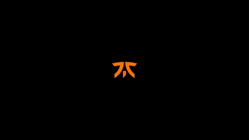 9INE заменит fnatic на онлайн-квалификации к BetBoom Dacha