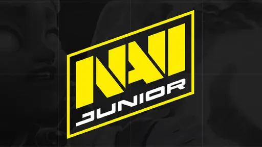NaVi и Visa запустили академию по Dota 2 для игроков 14-18 лет