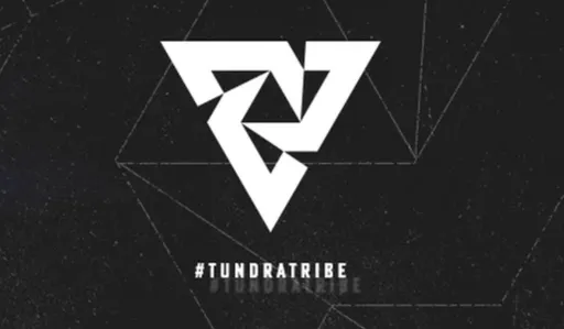 Организаторы ESL One Birmingham 2024 попросили Tundra провести экскурсию