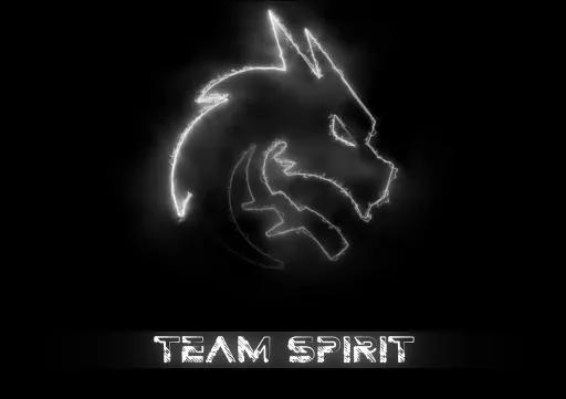 WYHM о проблемах Team Spirit: одного donk недостаточно
