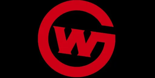 Wildcard Gaming заменит EG на отборочных к PGL CS2 Major Copenhagen 2024