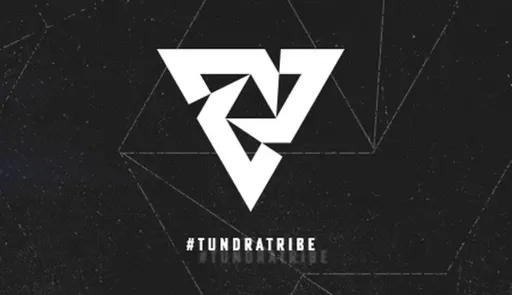 Tundra объявила о роспуске состава по Dota 2