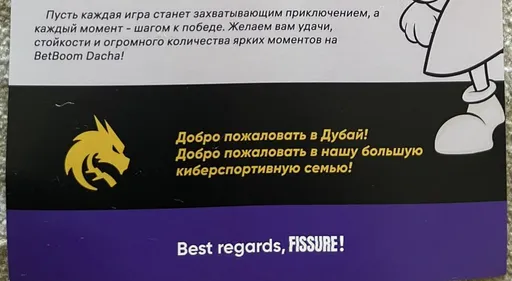 Team Spirit показала письмо от турнирного организатора BetBoom Dacha Dubai 2024