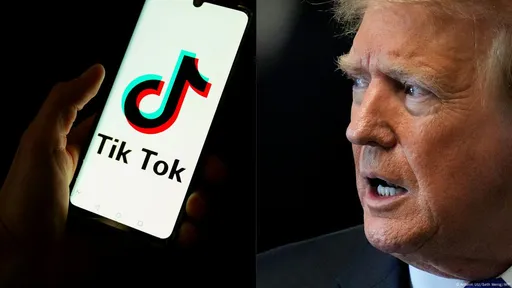 Верховный суд США поддержал запрет TikTok*