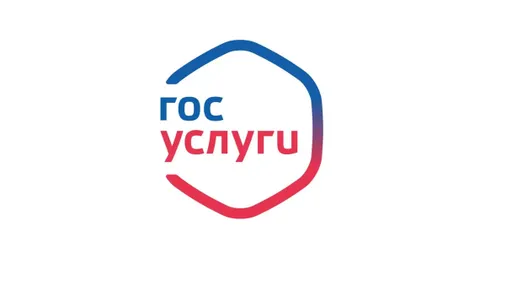 Игровые сервисы в России обяжут идентифицировать геймеров через «Госуслуги»