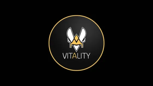 Team Vitality представила стикер в честь забастовок мусорщиков в Париже