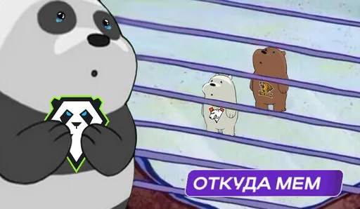 9 Pandas пропустила мейджор по CS2