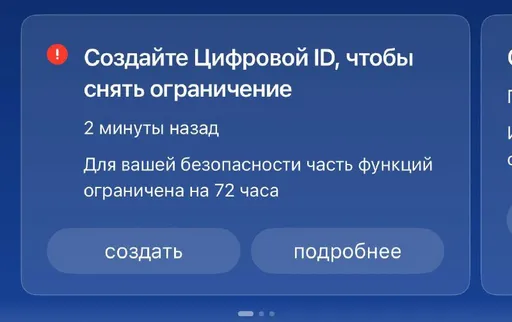 В России могут блокировать доступ к Госуслугам из-за отсутствия MAX