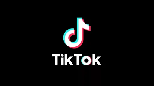 Суд в США отклонил просьбу TikTok* о переносе даты вступления в силу закона о блокировке