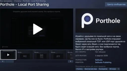 В Steam выйдет аналог Hamachi для кооперативов и игр по локальной сети