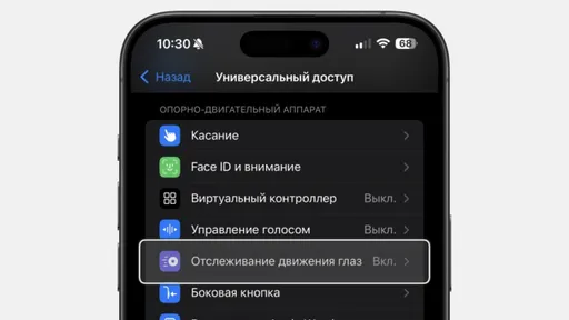 В iOS 18 появилась функция управления смартфоном взглядом