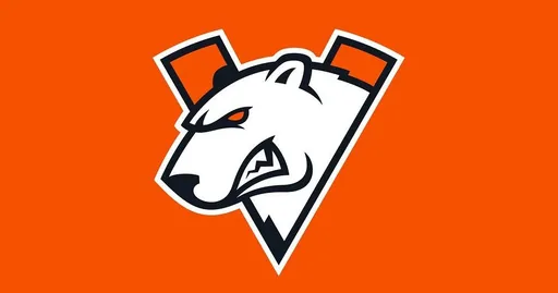 Virtus.pro: кандидатов из других команд пока не рассматриваем
