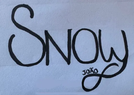 Отменённая роспись snow