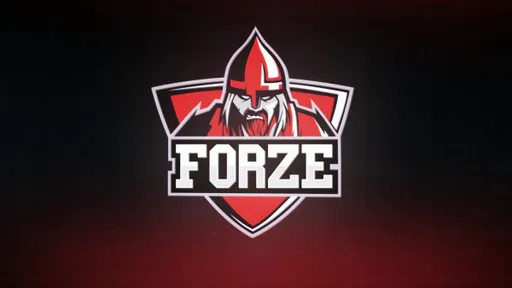 ForZe Esports пропустит IEM Rio Major 2022