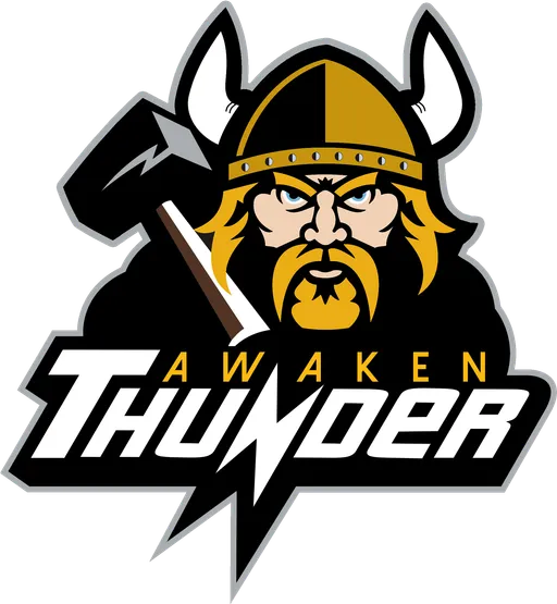 Thunder Awaken не получит техническое поражение в первый день мейджора