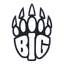BIG Academy