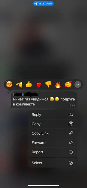 Скриншот одной из переписок, предоставленный Renatko