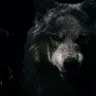 Ержан Утегалиев