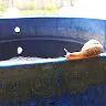 Артём Клевалов