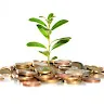 Money Profit (Money Profit)