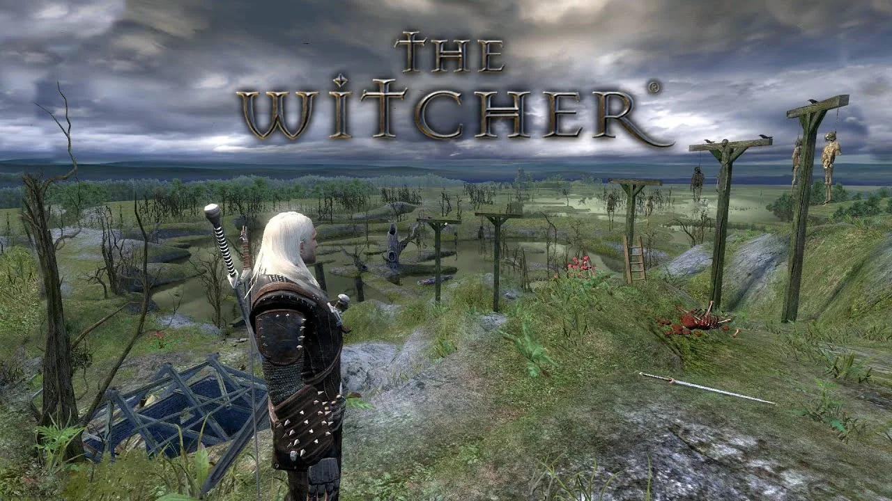 The Witcher