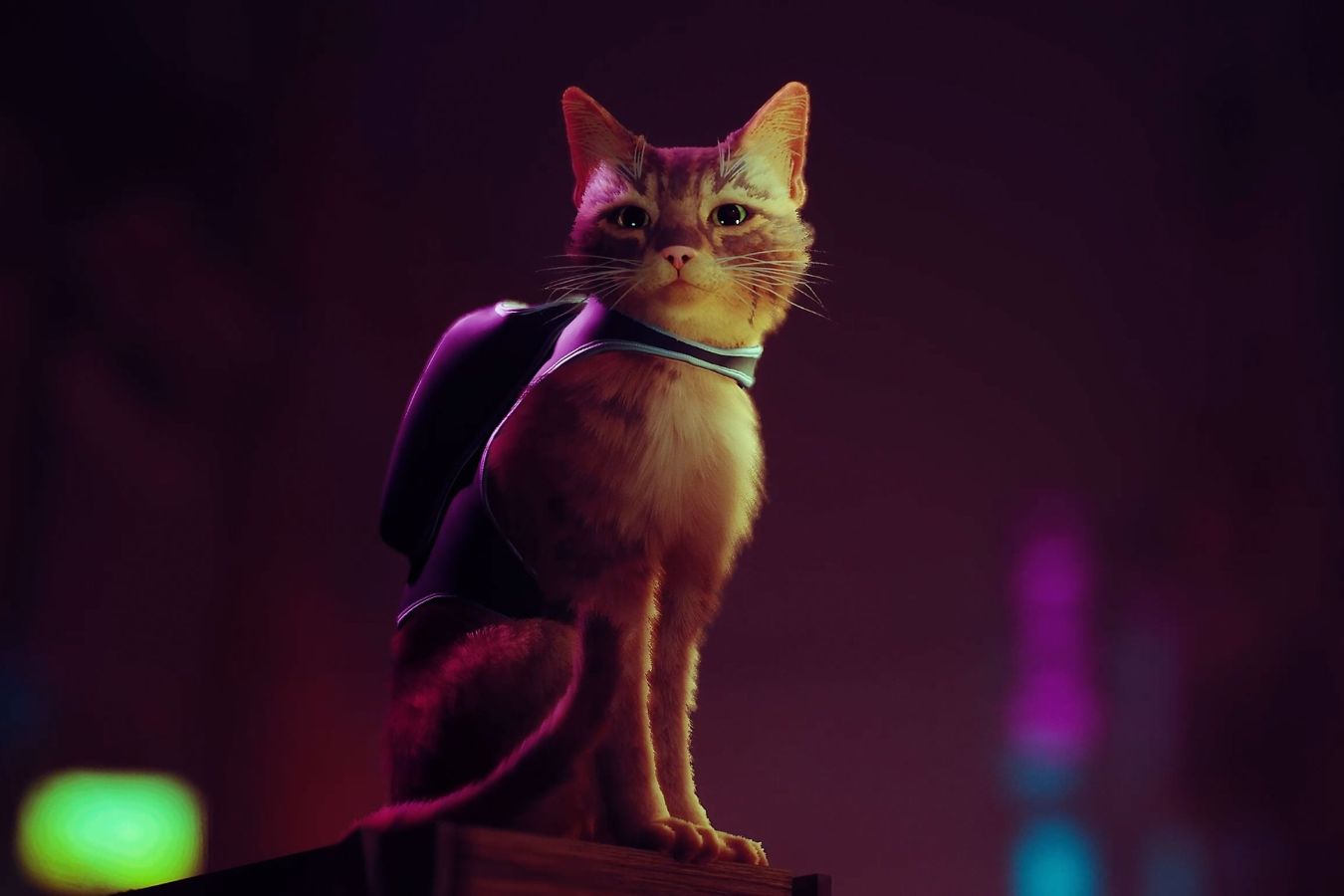 Киберпанк-приключение кота Stray стало самой желаемой игрой в Steam