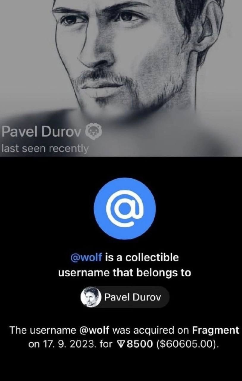 Юзернейм «волк» для аккаунта Павла Дурова