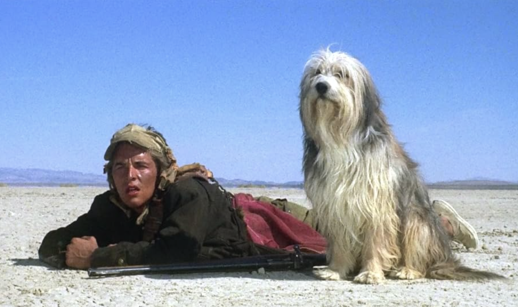 Кадр из фильма «Парень и его пес»