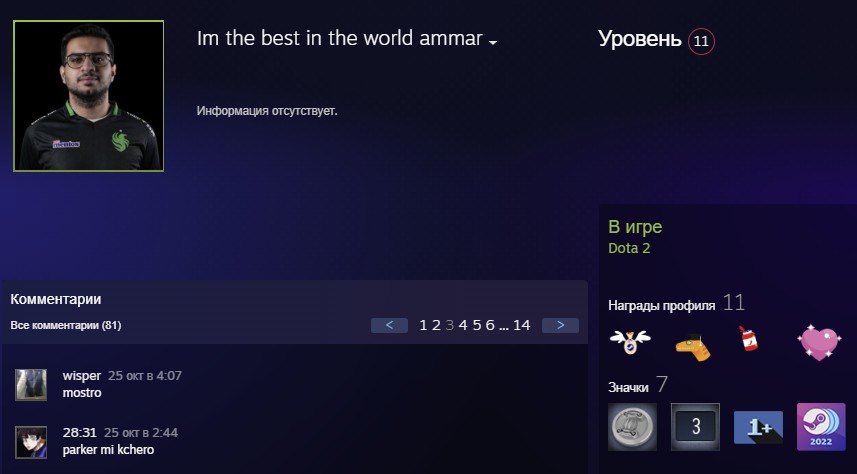 Профиль Parker в Steam