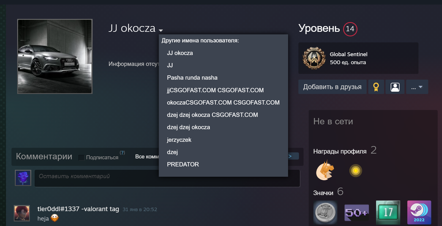 Профиль Ежи Яновича в Steam