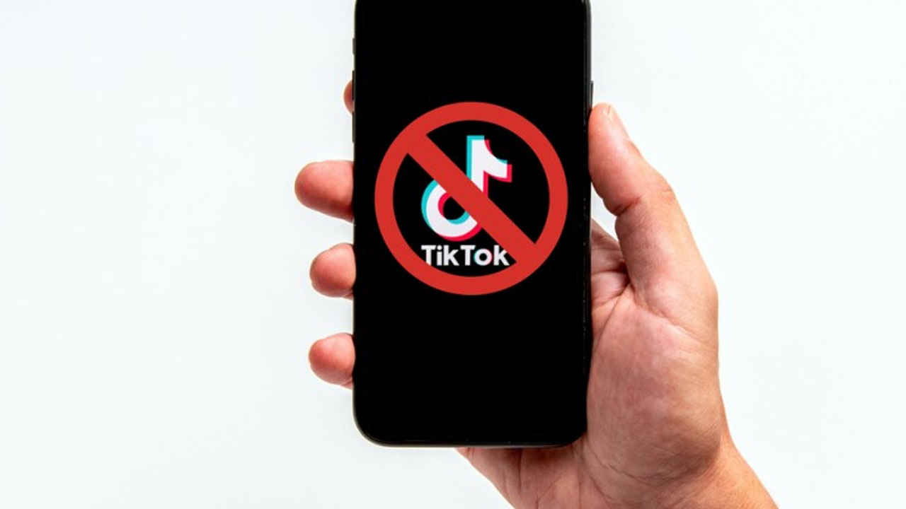 Власти Киргизии планируют заблокировать TikTok*