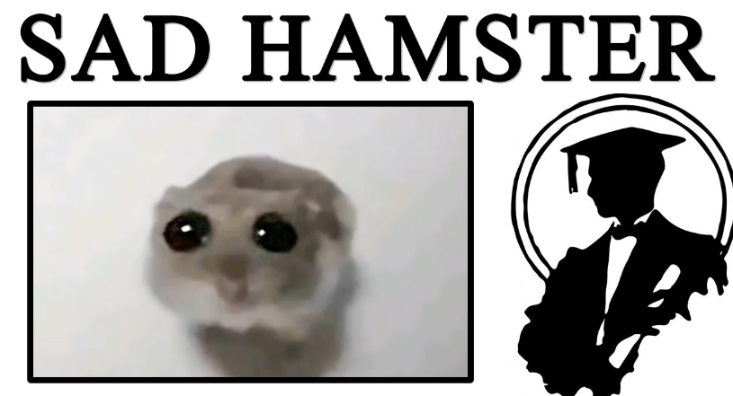Мем Sad Hamster