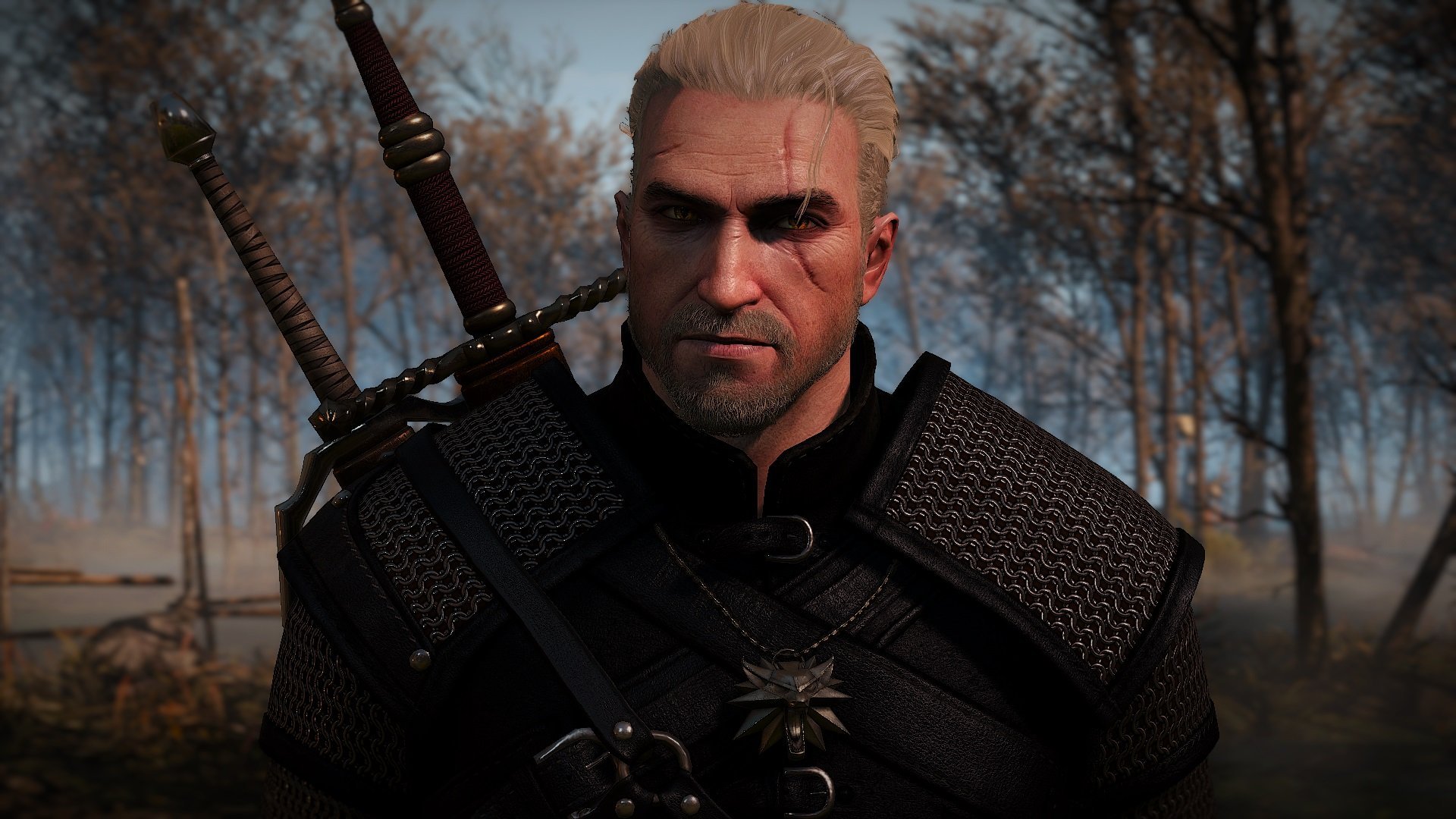 The witcher 3 geralt фото 98
