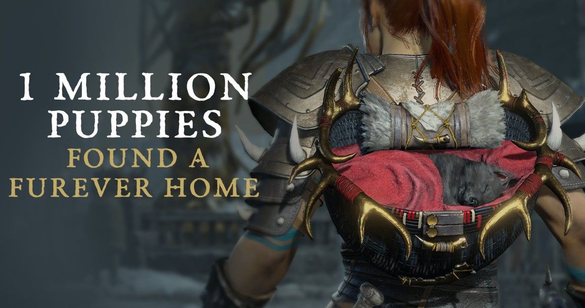 Blizzard: 1 млн игроков получили рюкзак со спящим волчонком в Diablo IV