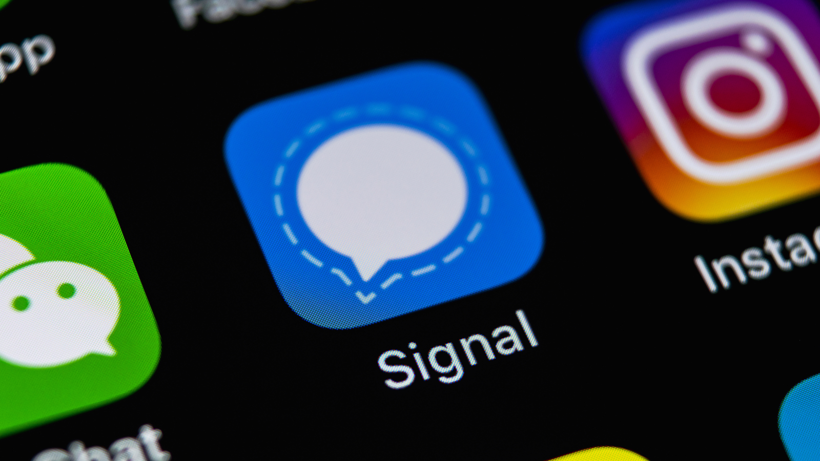 Как установить Signal на ПК и телефон