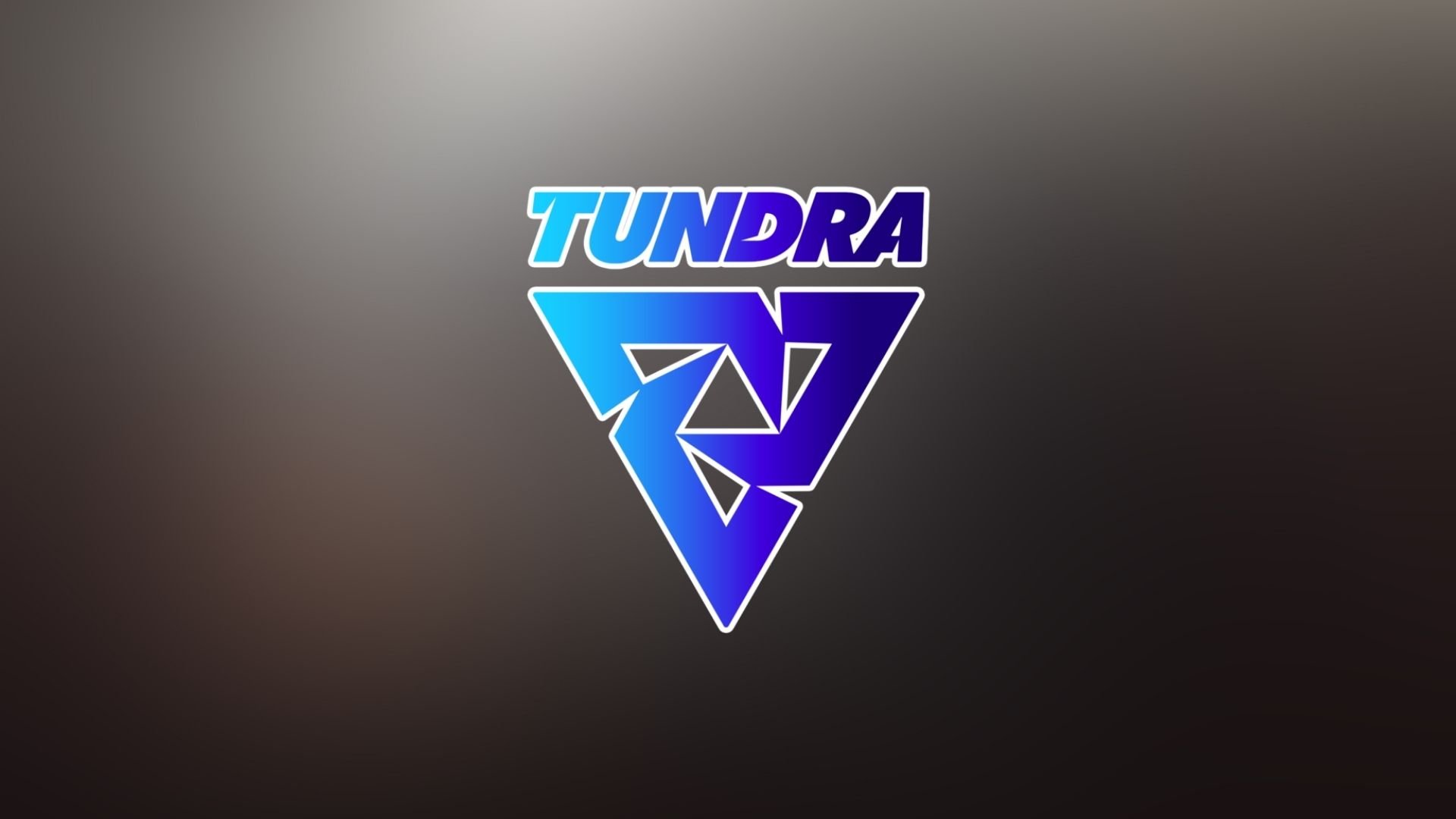 Tundra потроллила побеждённых противников на мейджоре — она изменила их логотипы