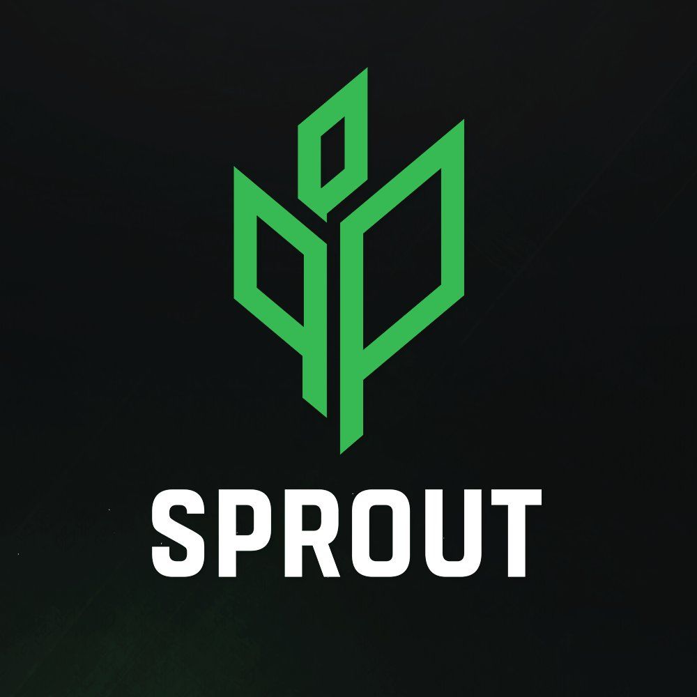 Raalz покинул состав Sprout        по CS:GO
