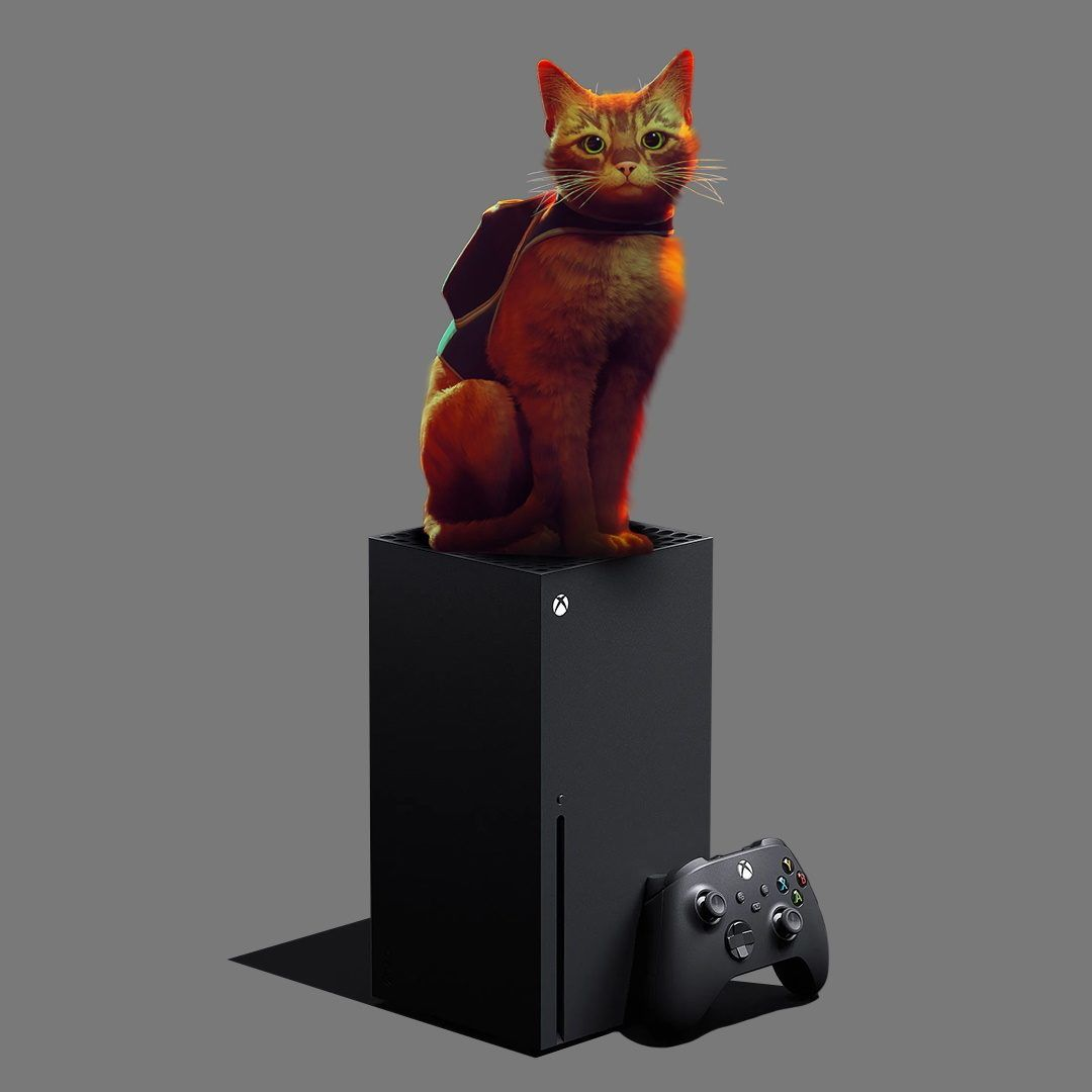 Приключенческий экшен про кота Stray вышел на Xbox One и Xbox Series X/S