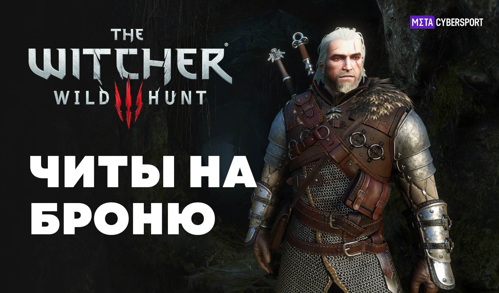 Читы на броню в The Witcher 3: Wild Hunt