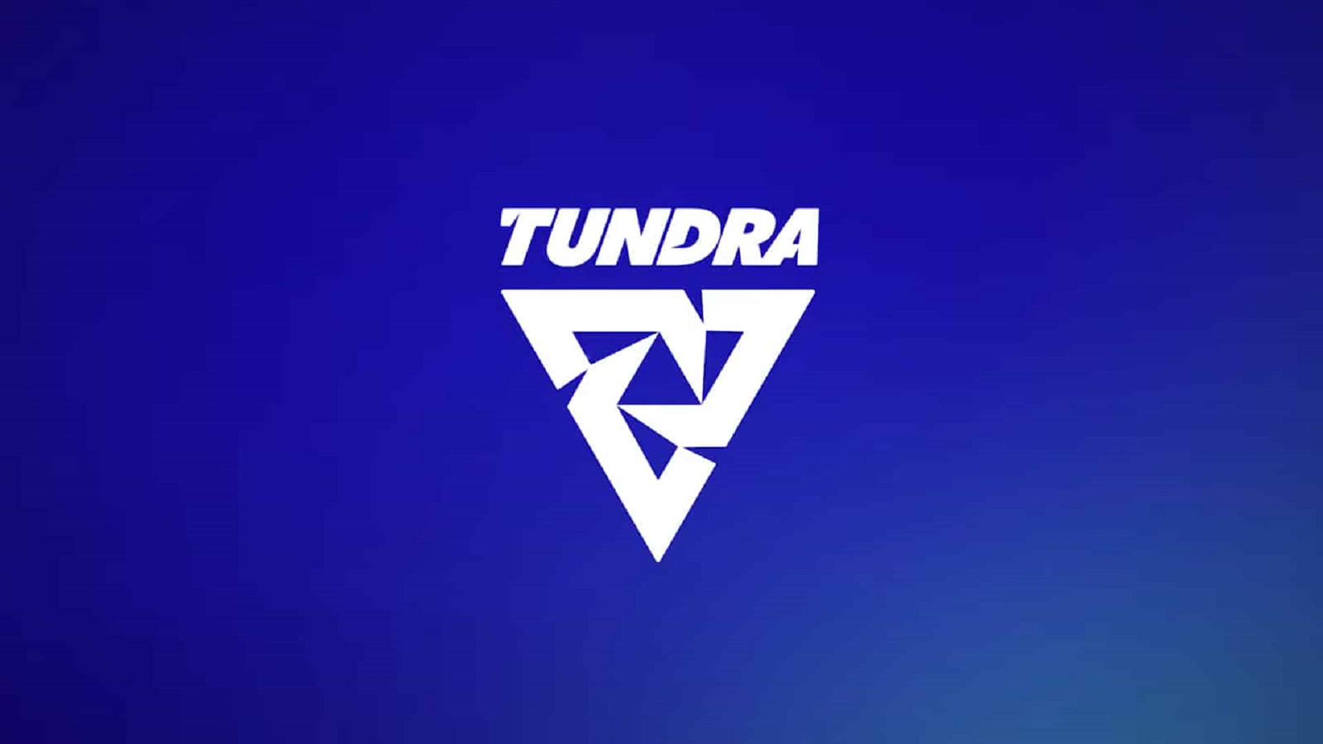 Laise продолжит играть за Tundra на DreamLeague Season 22