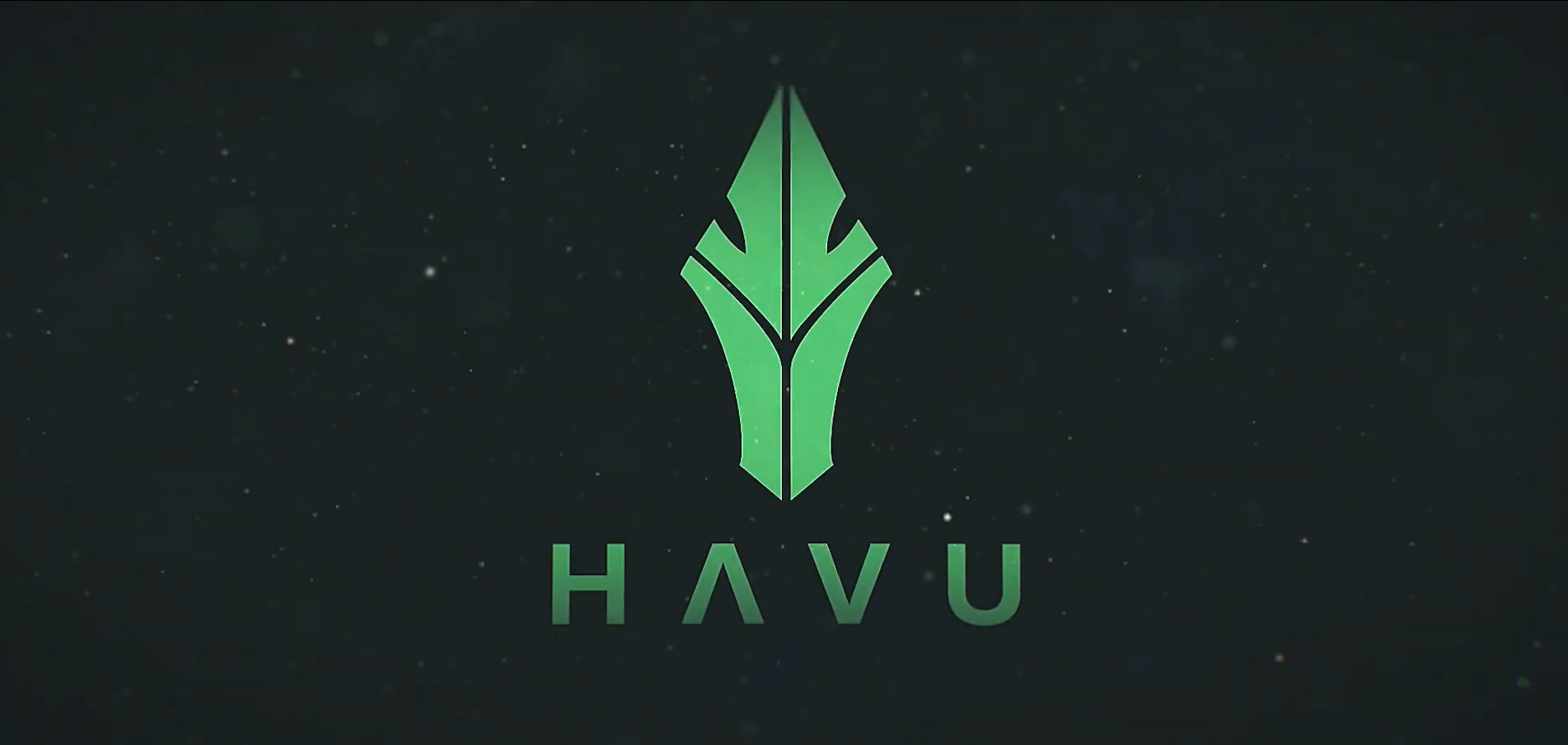 HAVU анонсировала новый состав по Dota 2