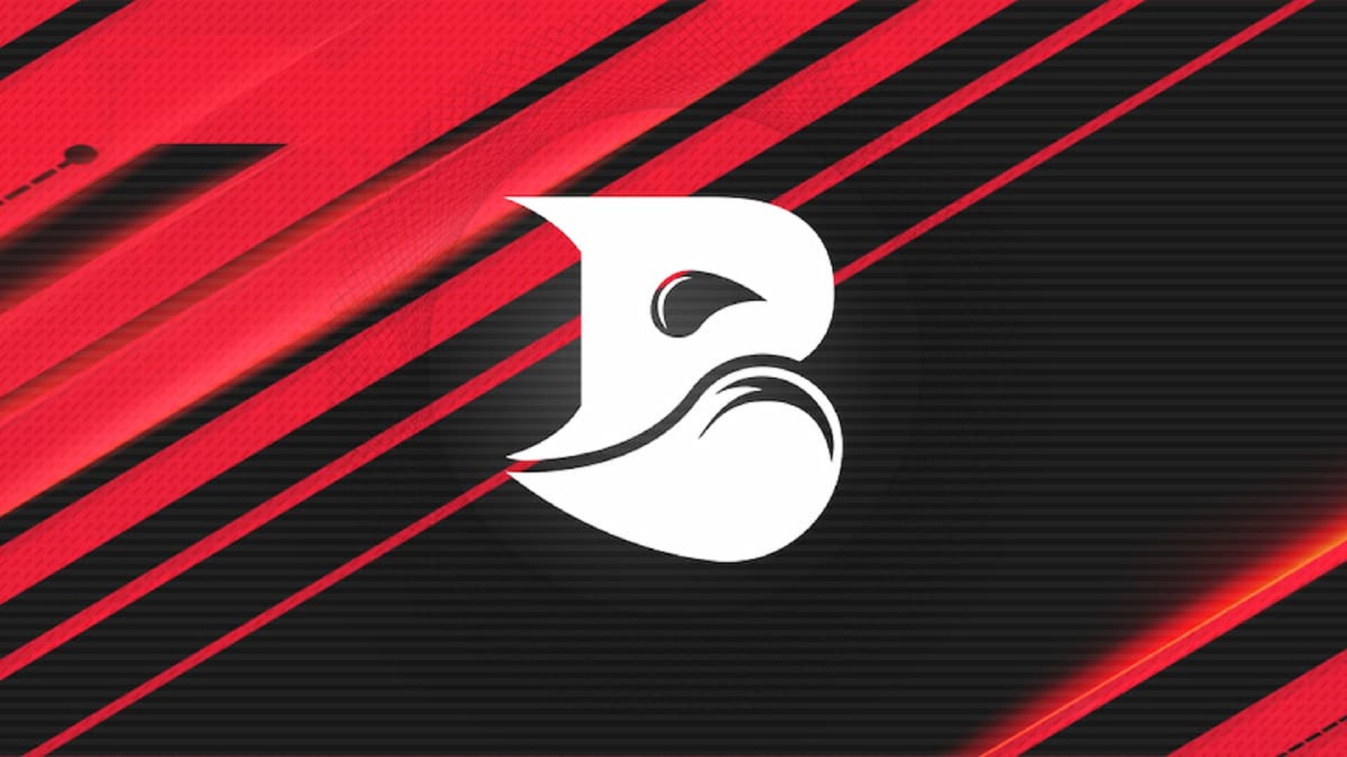 Taiga официально присоединился к BLEED Esports