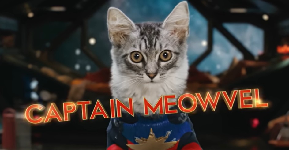 Marvel представила трейлер «Капитана Марвел 2» с кошками в главных ролях
