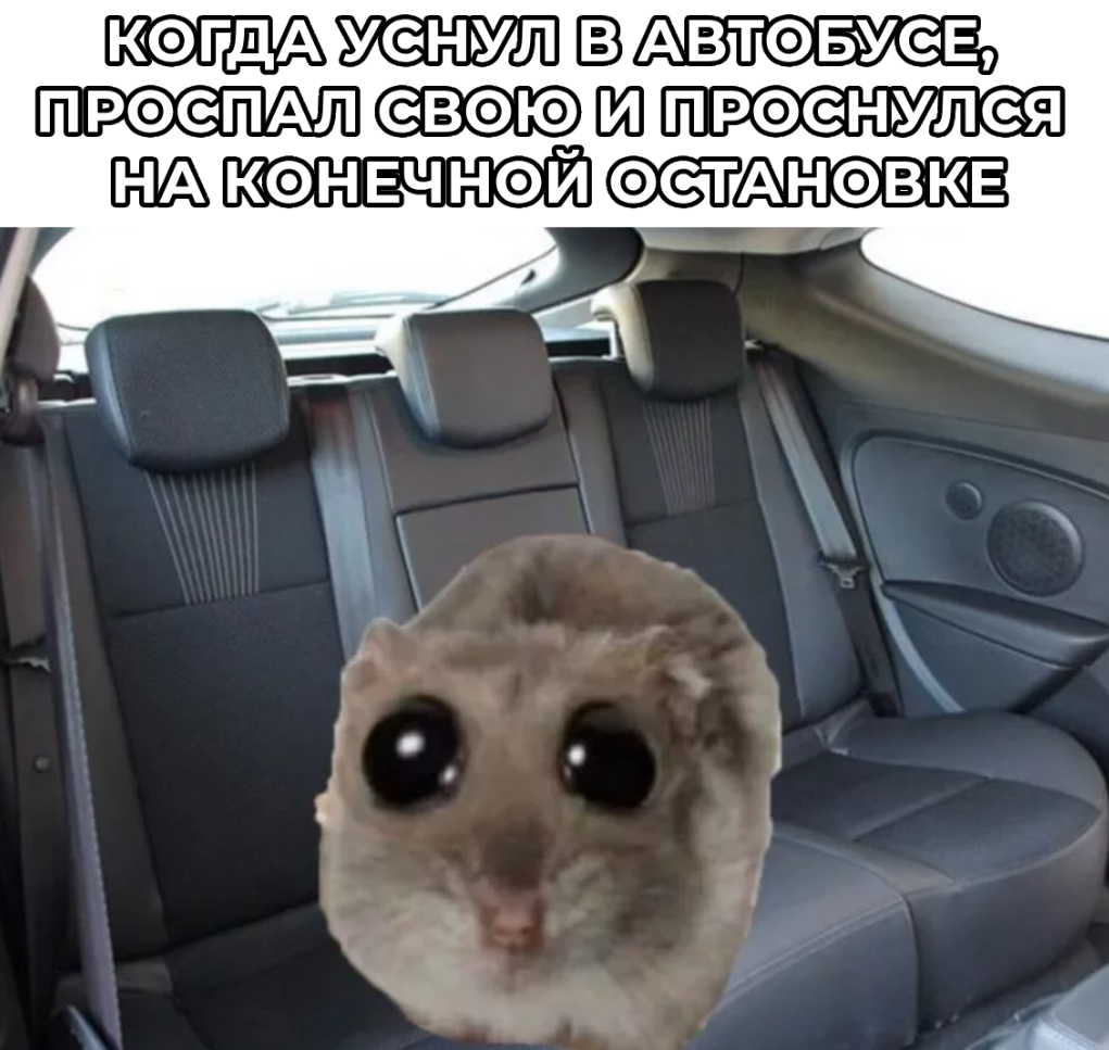 Мем с хомяком и автобусом от CyberMeta