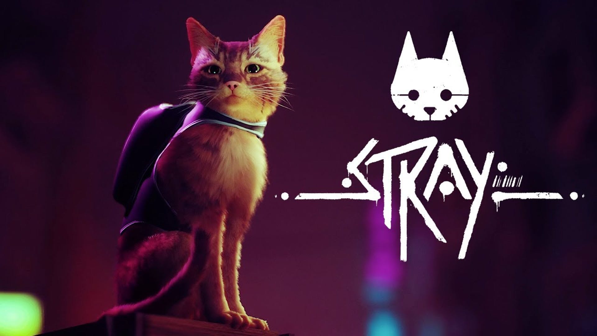 Stray заняла второе место в еженедельном чарте Steam